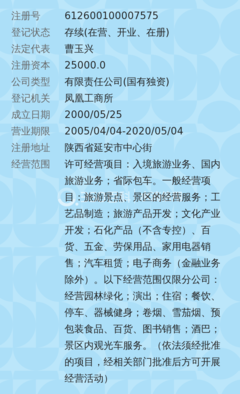 延安旅游(集团)